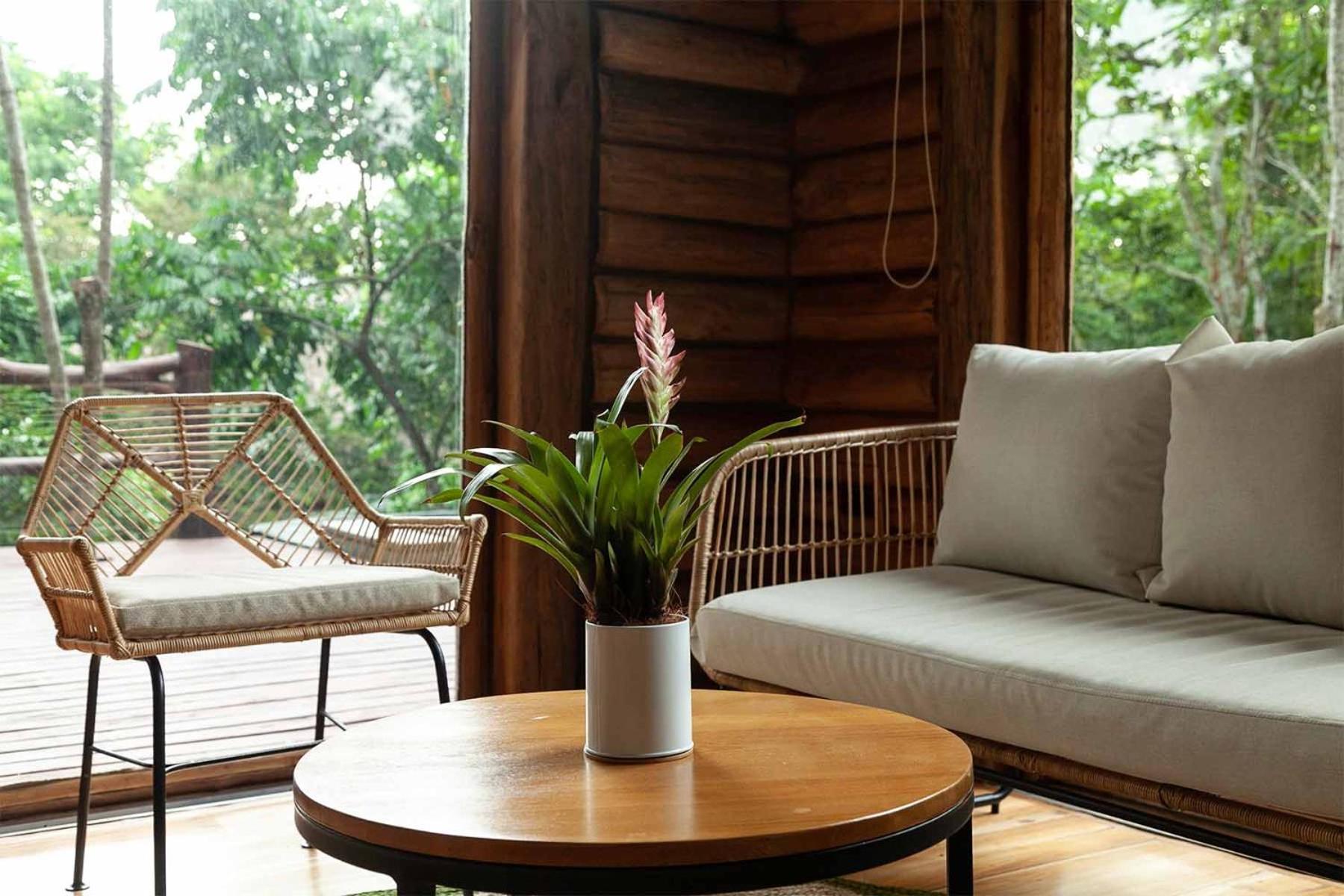 Hotel Boutique Maitta En Doradal Antioquia المظهر الخارجي الصورة
